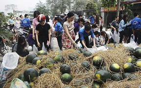 Kêu gọi mua dưa hấu giúp dân vùng lũ: Người trong cuộc nói gì?