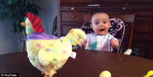 Hài hước em bé trố mắt xem gà đẻ trứng màu