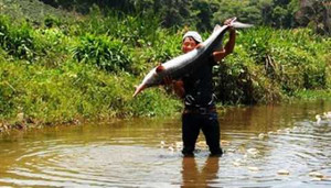 Chàng trai dân tộc bắt được cặp cá tầm nặng 40 kg