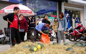 Cửa hàng Hà Nội mua 3 tấn dưa hấu tặng khách