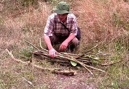 Hoa hình móng rồng và những thảo dược quý như nhân sâm