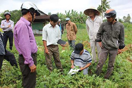 Nông dân Quảng Nam, Quảng Ngãi rưng nước mắt cảm ơn tình người Hà Nội