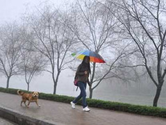 Thời tiết miền Bắc diễn biến dị thường