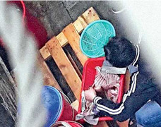 Phụ nữ Việt bị bắt ở Hong Kong vì bán thịt chó