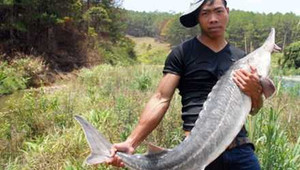 Sự thật sau câu chuyện chàng dân tộc bắt được cá khủng ở Lâm Đồng