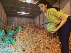 Kỳ Duyên phân trần trước lời tố giả tạo khi bán dưa ủng hộ đồng bào miền Trung