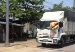 Lộ diện CSGT trong clip đu đầu xe tải yêu cầu tài xế dừng xe