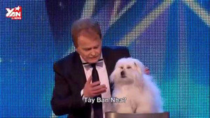 Chú chó biết nói và hát gây kinh ngạc sân khấu Got Talent