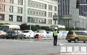 Cảnh sát đứng giữa ngã tư bảo vệ chú chó bị thương