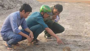 Đạn cối bất ngờ phát hỏa, công trường náo loạn