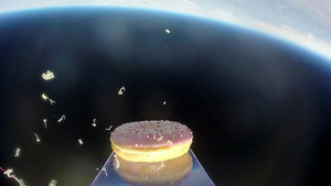 Chiếc bánh đầu tiên bay vào không gian