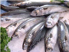 Mẹo để giữ cá tươi ngon tự nhiên mà không cần tủ lạnh