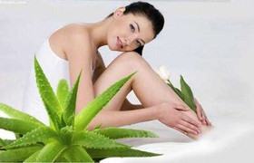 Cây nha đam - tiên dược giá rẻ cho mọi nhà