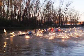 Hàng trăm con cá chép nhảy lên mặt hồ tấn công người bơi thuyền