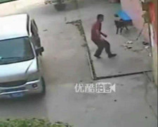 Clip: Đi xe du lịch trộm chó