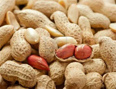 Giảm cân nhanh và hiệu quả nhờ củ lạc