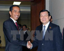 Chủ tịch nước dự các hoạt động tại Hội nghị Cấp cao Á-Phi