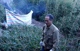 'Người rừng' ung thư tay không hạ 4 giang hồ biên ải