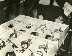 Cô gái đi tìm nguồn cội và câu chuyện về hai gia đình ở Việt Nam