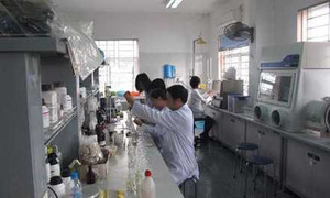 Bắt cựu Phó giám đốc Trung tâm kiểm nghiệm phân bón quốc gia