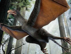 Phát hiện loài khủng long biết bay kỳ lạ ở Trung Quốc