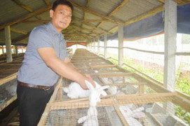 Bỏ cuộc sống ở phố về quê thành “chàng trai bạc tỷ”