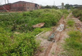 Khởi tố học sinh lớp 9 giết bạn gái, kéo xác xuống bờ ao