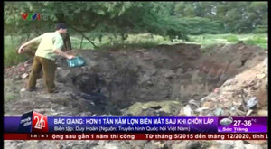 Bắc Giang: Hơn 1 tấn nầm lợn biến mất sau khi chôn lấp