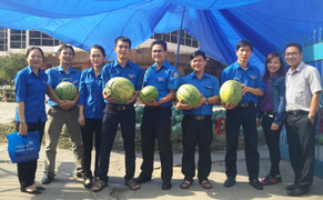 Tỉnh đoàn bị tố ăn chặn tiền bán dưa, Quảng Ngãi họp nóng