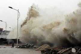 Dự báo bão sai, không thấy ai chịu trách nhiệm