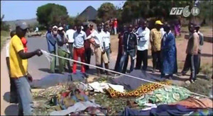 Clip: 37 người chết thảm vì một con bò