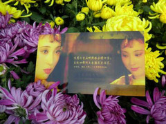 Fan tưởng nhớ 8 năm ngày mất của 'Lâm Đại Ngọc'