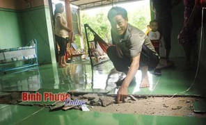 Nền nhà bật tung, chủ nhà hốt hoảng tháo chạy