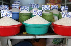 Gạo giả tràn lan Đông Nam Á: Lý giải đập tan tin đồn của chuyên gia Việt Nam