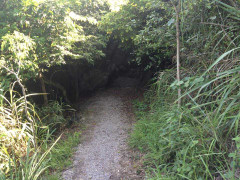 Cả huyện giật mình với thông tin 'học sinh lên núi để sex'