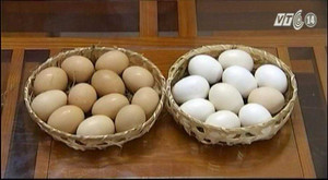 Mẹo chọn trứng an toàn