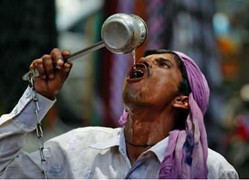 Nắng nóng gần 50 độ C, cả nghìn người thiệt mạng