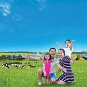 Khám phá trang trại bò sữa Vinamilk