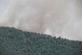 Hàng trăm lính cứu hỏa vật lộn 6 tiếng, cánh rừng vẫn đang cháy dữ dội