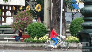 Gái bán dâm 'mồ côi' ngụy trang đón khách giữa TP.HCM