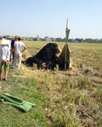 Người đàn ông chết cháy giữa cánh đồng