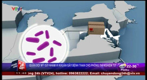 Quân đội Mỹ gửi nhầm vi khuẩn gây bệnh than đi nhiều nơi