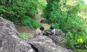 Vụ 'Học sinh lên núi để sex': Phạt báo Công An Nhân Dân 15 triệu đồng