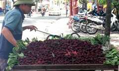 Quả lạ loạn giá, loạn xuất xứ