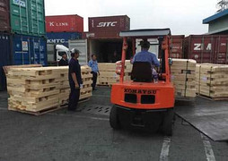 Bắt “trùm” ma túy người El Salvador ở TP.HCM