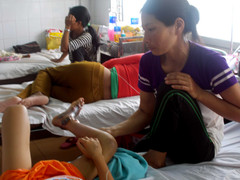 Bị rắn lục đuôi đỏ tấn công, cậu bé chăn bò nguy kịch