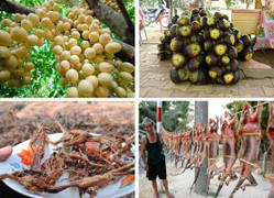 Mê mẩn khám phá đặc sản miền Tây 'đẻ' ra tiền