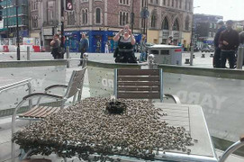 Video: ‘Binh đoàn’ ong tấn công quán bar khiến khách hàng kinh hãi