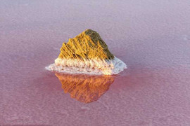 Cánh đồng muối đổi màu lung linh 'không thể tin nổi'