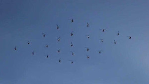 Mãn nhãn màn trình diễn lập kỷ lục của trực thăng dân sự Nga